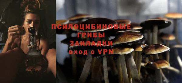мдпв Бабаево