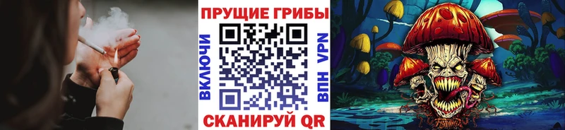 Галлюциногенные грибы GOLDEN TEACHER  kraken tor  Злынка 